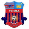 Dila Gori
